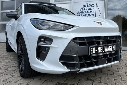 Cupra Terramar Gebrauchtwagen