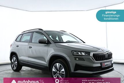 Skoda Karoq Gebrauchtwagen