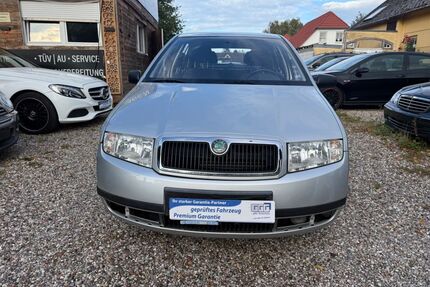 Skoda Fabia Gebrauchtwagen