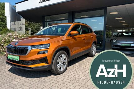 Skoda Karoq Gebrauchtwagen