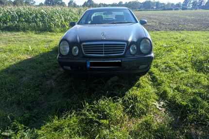 Mercedes-Benz CLK 230 Gebrauchtwagen