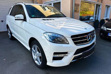 Mercedes-Benz ML 250 Gebrauchtwagen
