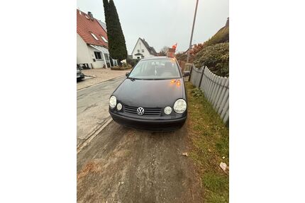 VW Polo Gebrauchtwagen