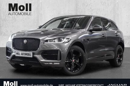 Jaguar F-Pace Gebrauchtwagen