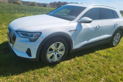 Audi Q8 e-tron Gebrauchtwagen