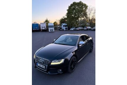 Audi S5 Gebrauchtwagen