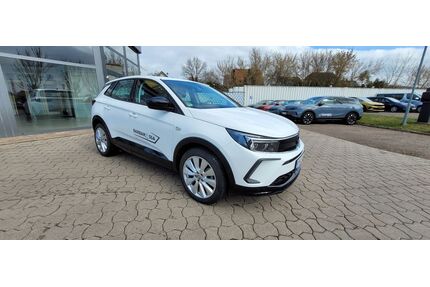 Opel Grandland (X) Gebrauchtwagen