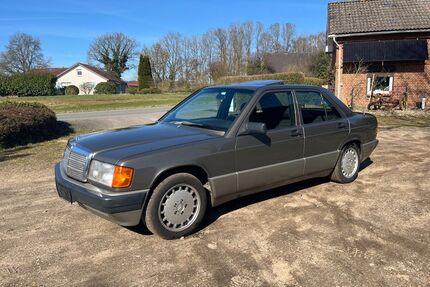 Mercedes-Benz 260 Gebrauchtwagen