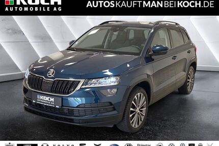 Skoda Karoq Gebrauchtwagen