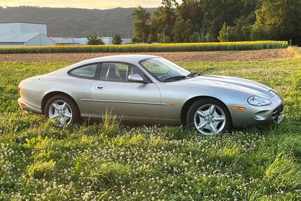 Jaguar XK8 Gebrauchtwagen