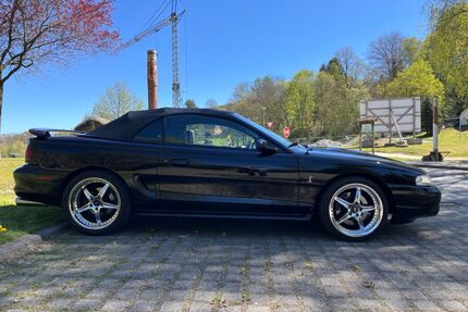 Ford Mustang Gebrauchtwagen