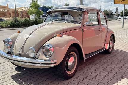 VW Käfer Gebrauchtwagen