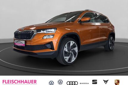Skoda Karoq Gebrauchtwagen