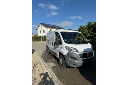 Fiat Ducato Gebrauchtwagen