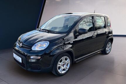 Fiat Panda Gebrauchtwagen