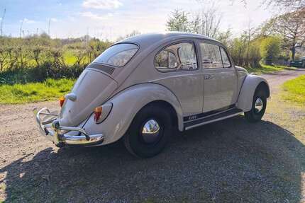VW Käfer Gebrauchtwagen