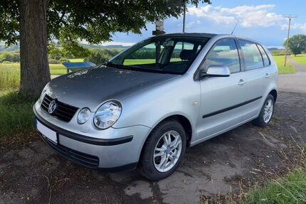 VW Polo Gebrauchtwagen