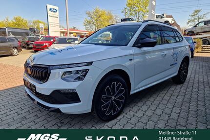 Skoda Kamiq Gebrauchtwagen
