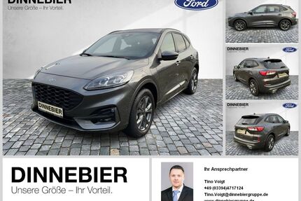Ford Kuga Gebrauchtwagen