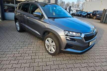 Skoda Karoq Gebrauchtwagen
