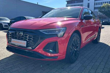 Audi Q8 e-tron Gebrauchtwagen