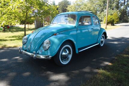 VW Käfer Gebrauchtwagen