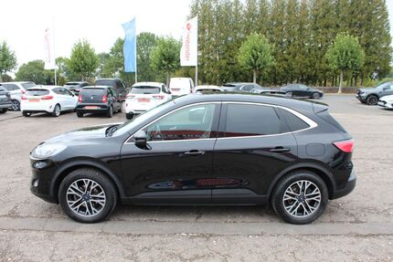 Ford Kuga Gebrauchtwagen