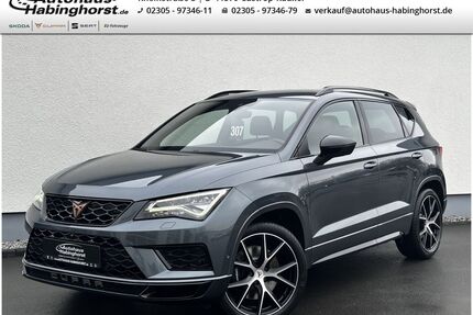 Cupra Ateca Gebrauchtwagen