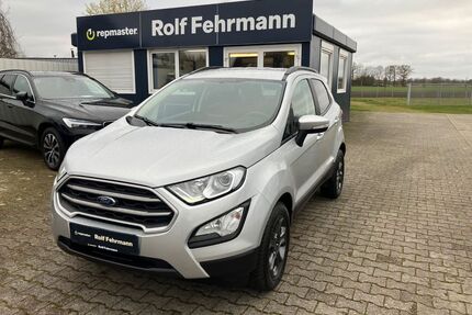 Ford EcoSport Gebrauchtwagen