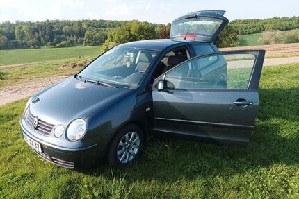VW Polo Gebrauchtwagen