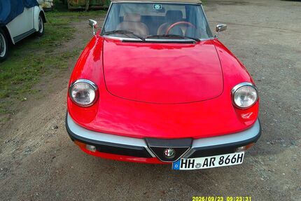 Alfa Romeo Spider Gebrauchtwagen
