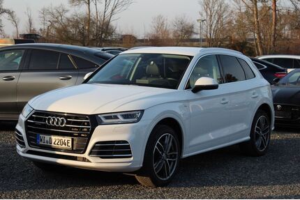 Audi Q5 Gebrauchtwagen