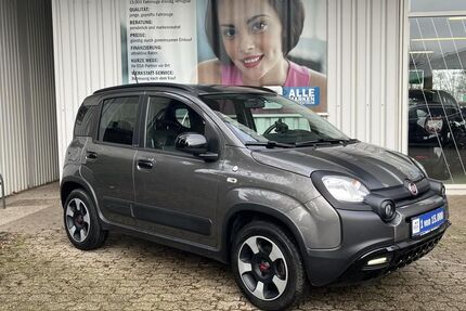 Fiat Panda Gebrauchtwagen