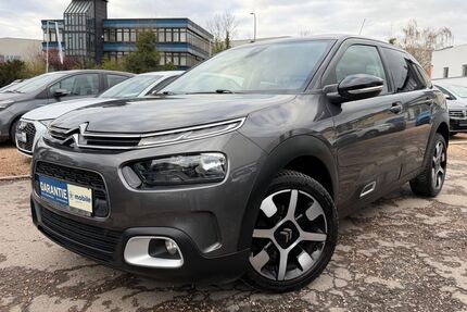 Citroen C4 Cactus Gebrauchtwagen