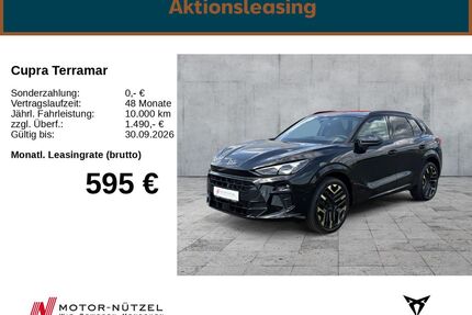 Cupra Terramar Gebrauchtwagen