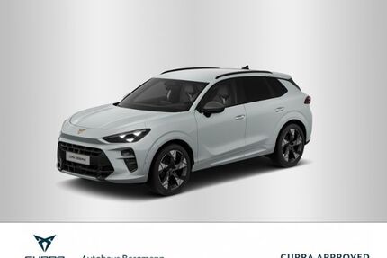Cupra Terramar Gebrauchtwagen