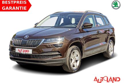 Skoda Karoq Gebrauchtwagen