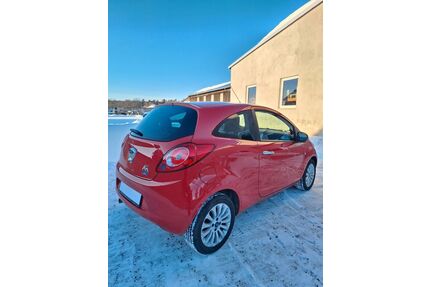 Ford Ka/Ka+ Gebrauchtwagen