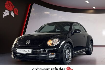 VW Beetle Gebrauchtwagen