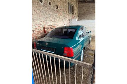 VW Passat Gebrauchtwagen