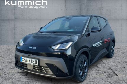 BYD DOLPHIN Gebrauchtwagen