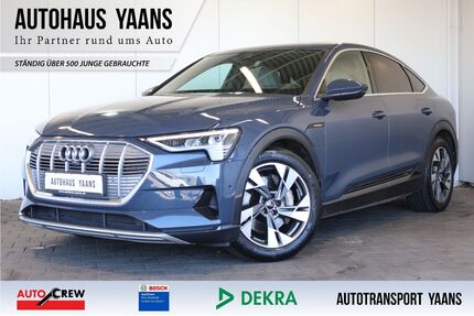Audi e-tron Gebrauchtwagen