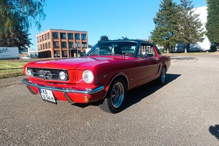 Ford Mustang Gebrauchtwagen