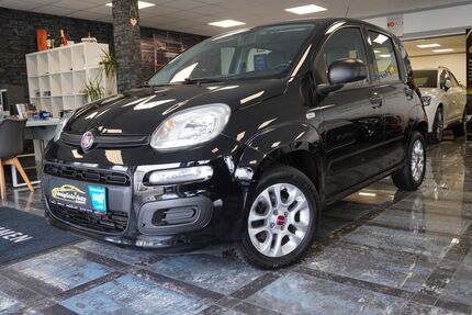 Fiat Panda Gebrauchtwagen