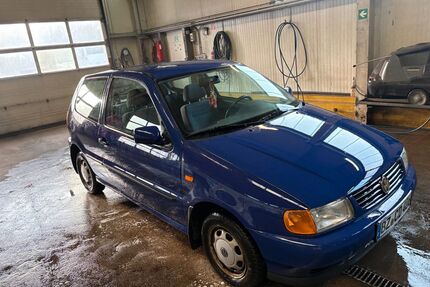VW Polo Gebrauchtwagen