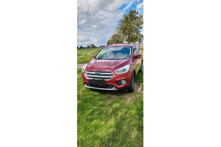 Ford Kuga Gebrauchtwagen
