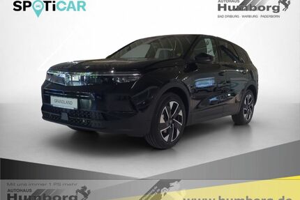 Opel Grandland (X) Gebrauchtwagen