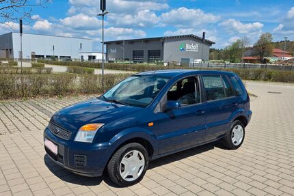Ford Fusion Gebrauchtwagen