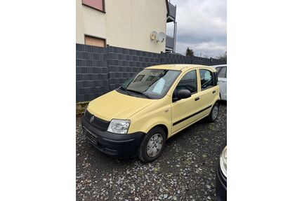 Fiat Panda Gebrauchtwagen