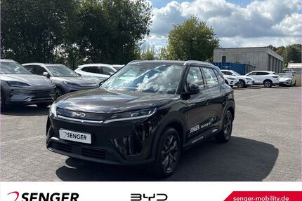 BYD ATTO 2 Gebrauchtwagen